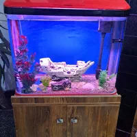 آکواریوم شرکتی با پایه چوبی|ماهی|باغستان, |دیوار