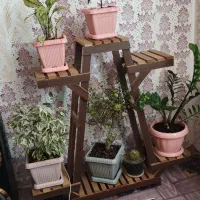 استند گل گیاه ظریف و زیبا