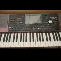 ارگ کرگ   ‌pa1000