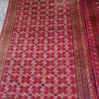 تعدادی فرش دستباف|فرش|بوشهر, |دیوار