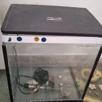 شیشه اکواریوم