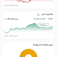 آموزش کسب درآمد بازار طلا ویژه بانوان