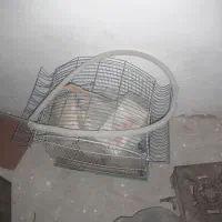 قفس پرنده سالم در حد