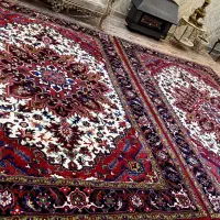 فرشه هریس
