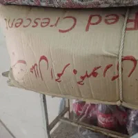 چادر مسافرتی 12نفره