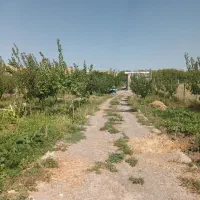 فروش باغ در صومعه کعبودین کنار جاده اصلی