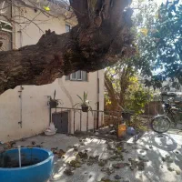 خونه ویلایی تجاری مسکونی بهترین لوکیشن روستایی|فروش خانه و ویلا|آزادشهر, |دیوار