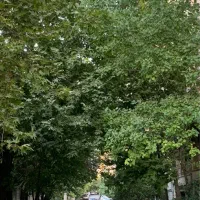 ۱۳۵ متر /۲خوابه/ تکواحدی /صرافهای جنوبی