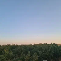 فروش زمین ۱ هکتار|فروش زمین و ملک کلنگی|نوبران, |دیوار