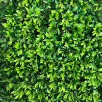 درخت شکوفه.گرین وال ..ترموود|گل مصنوعی|آمل, |دیوار