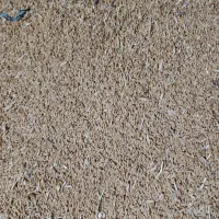 خریدار گندم و جو