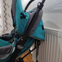 کالسکه کودک دلیجان