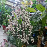 ساقه شکوفه ریز بهاری