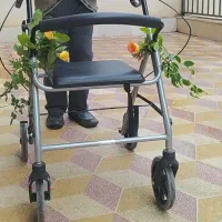 جذب خدمتکار خانم برای شیراز منطقه معالی‌آباد