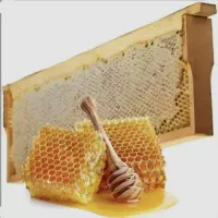 محصولات زنبور ولاش