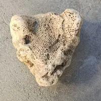 سنگ کلکسیونی واسه دکور خیلی زیبا