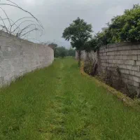 فرصتی استثنایی برای تملک یک باغ وسیع، شناسنامه‌دار