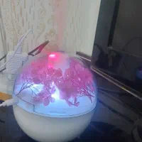 دستگاه بخار