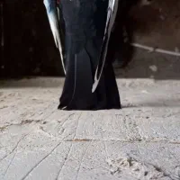 پرنده|پرنده|بروجرد, |دیوار