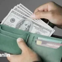 تو خونه پول دربیار