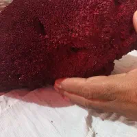 مرجان دریایی لوله ای|کلکسیون و سرگرمی|زاهدان, |دیوار