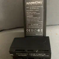 باتری یدک سونی ۲ عدد همراه تراور شارژ|دوربین عکاسی و فیلم‌برداری|ری, علایین|دیوار