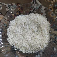 برنج هاشمی اعلا|خوردنی و آشامیدنی|رشت, جماران|دیوار