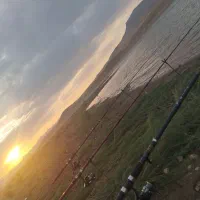 لنسر|ماهیگیری|سنقر, |دیوار