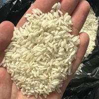فروش عمده برنج رز فاخر درجه و آمریکایی آلدان