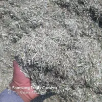 کا یونجه خالص نوکار