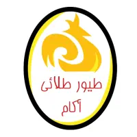 استخدام حسابدار در شرکت