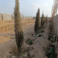 هزارمترزمین-دوردیوار