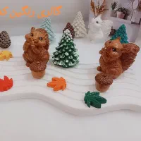 اکسسوری و دکوری