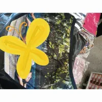لباس زیر زنانه(شورت مدل خاص فانتزی)|لباس|خوی, |دیوار