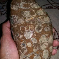 سنگ طبیعی|کلکسیون اشیاء عتیقه|علی‌آباد کتول, |دیوار