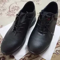 کفش|کیف، کفش، کمربند|زنجان, |دیوار