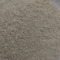 برنج اطاقور