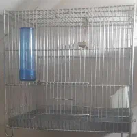 قفس آرمان|لوازم جانبی حیوانات|مراغه, |دیوار