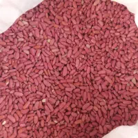 حبوبات محصولات کشاورزی