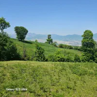 زمین باغی ۱۲۰۰متری نزدیک طرح هادی، قیمت مناسب|فروش زمین و ملک کلنگی|توتکابن, |دیوار