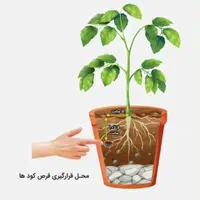 قرص کود ارگانیک|گل و گیاه طبیعی|لنجان, |دیوار