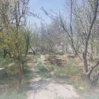 1000 متر زمین به همراه ۲۵ متر بنای قدیمی مهرچین|فروش زمین و ملک کلنگی|تهران, قزل قلعه|دیوار