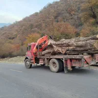 خریدار چوب صنعتی  گردو چنار .کاج .صنوبر