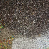 نیروی آقا جهت تولیدی