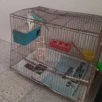 فروش قفس|لوازم جانبی حیوانات|اردستان, |دیوار