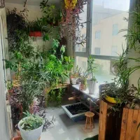180 متر / 3 خواب / فول / پارکینگ اختصاصی|اجارهٔ آپارتمان|کرج, گلشهر|دیوار
