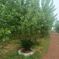 ویلا مبله دانمارکی|فروش آپارتمان|الوند, |دیوار