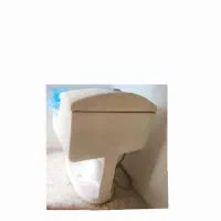 توالت فرنگی