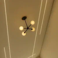 کار برقی در اسرع وقت