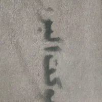 موکت 15متری|موکت|کرمانشاه, |دیوار